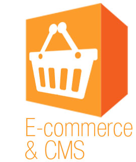 E-commerce and Content Management Systems